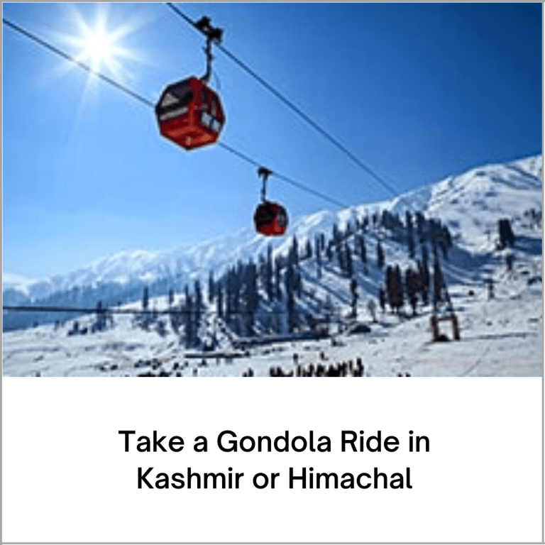 Set sail with Cordelia Cruises for Goa, Cochin, or Lakshadweep (4)