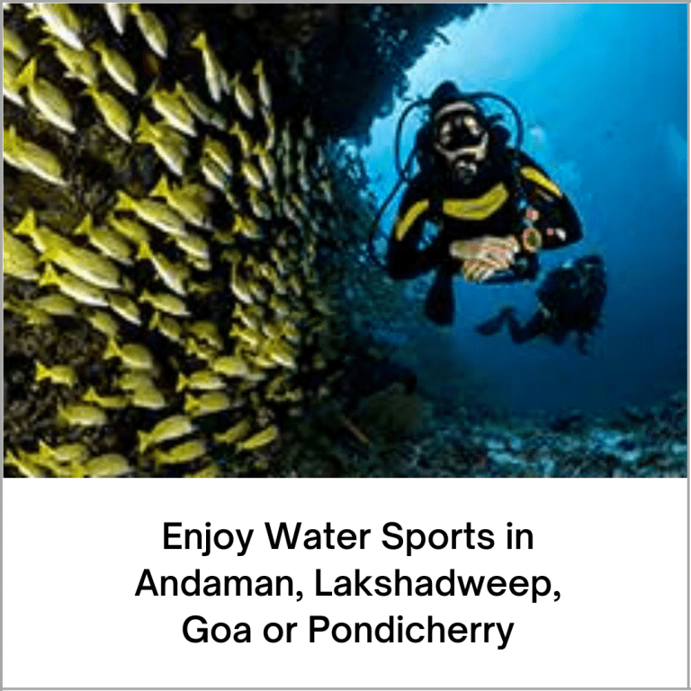 Set sail with Cordelia Cruises for Goa, Cochin, or Lakshadweep (6)